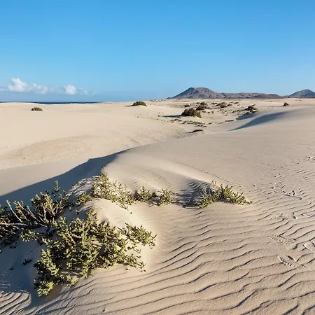 87 * Corralejo